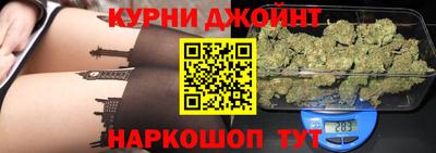 мдпв Камышлов