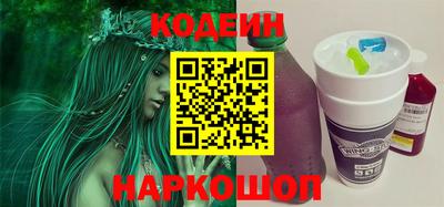 мдпв Камышлов